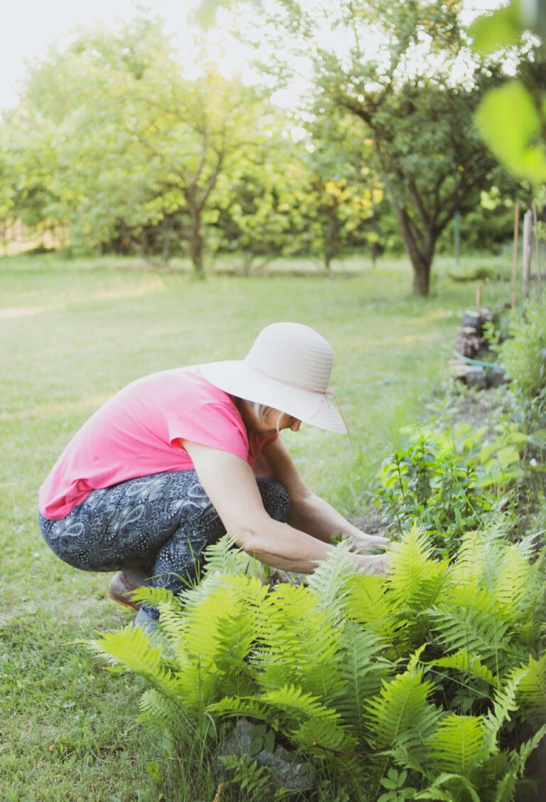 Aged Care Therapeutic Gardening